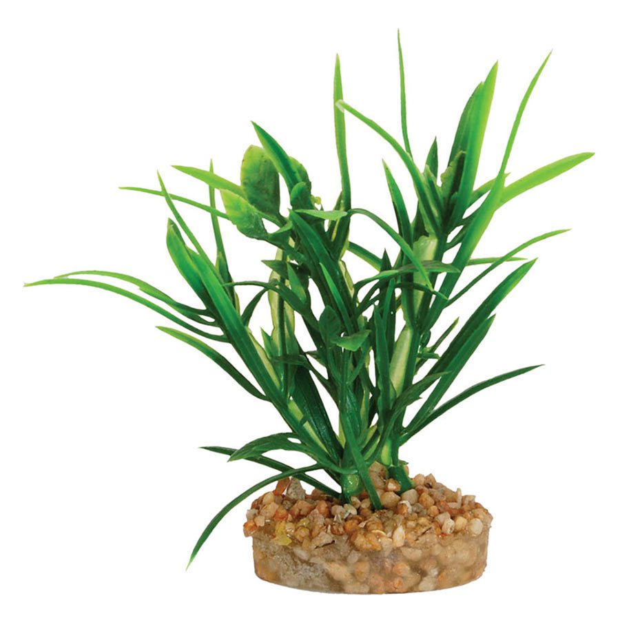 AQ Plant with Sandstone 4.5cm(base)x9.5cm