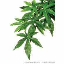 Exo Terra Silk Abuliton Plant, sml