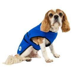 Ancol Ice Paws Cooling Coat