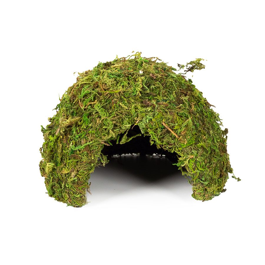 RZ Natural Moss Dome