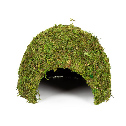 RZ Natural Moss Dome