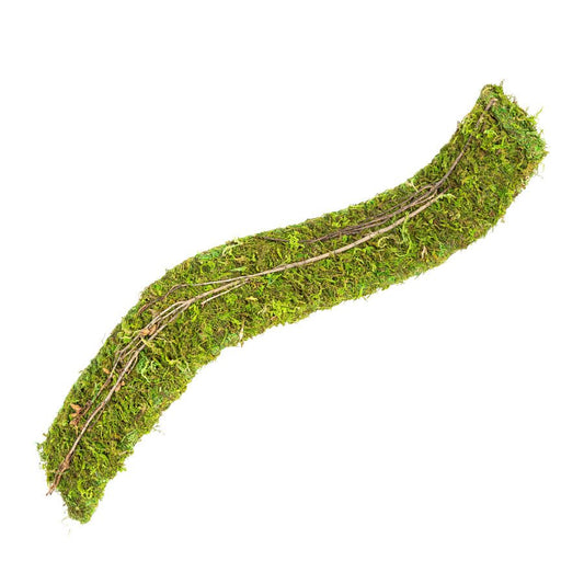 RZ Natural Moss Flex Bridge