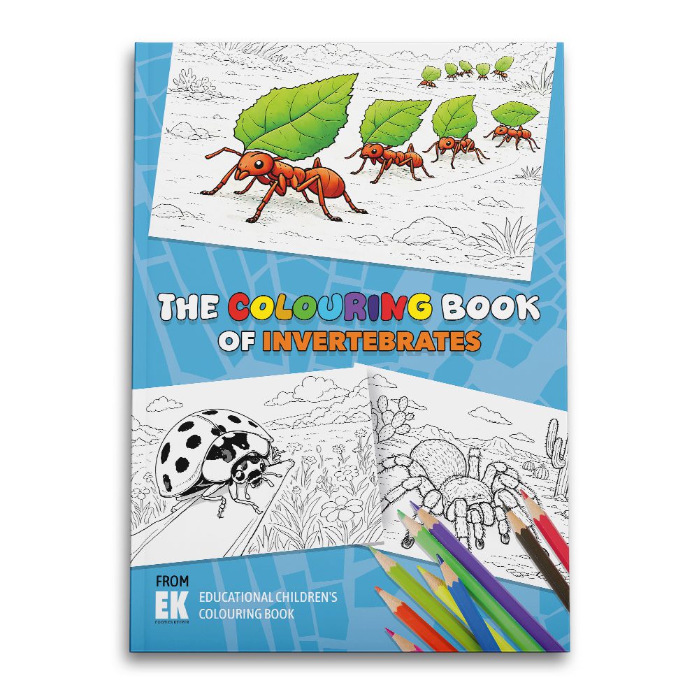 Exotics Keeper Colouring Book