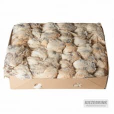 Ex Layer Quail