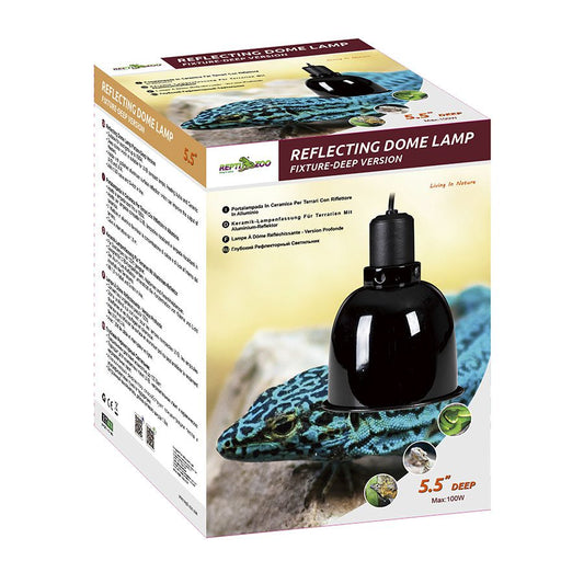 RZ Reflecting Lamp Dome