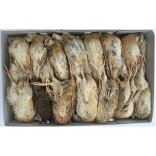 Ex Layer Quail