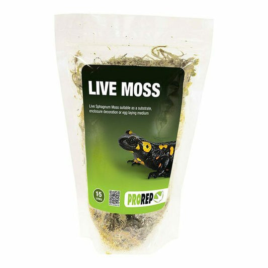 PR Live Moss