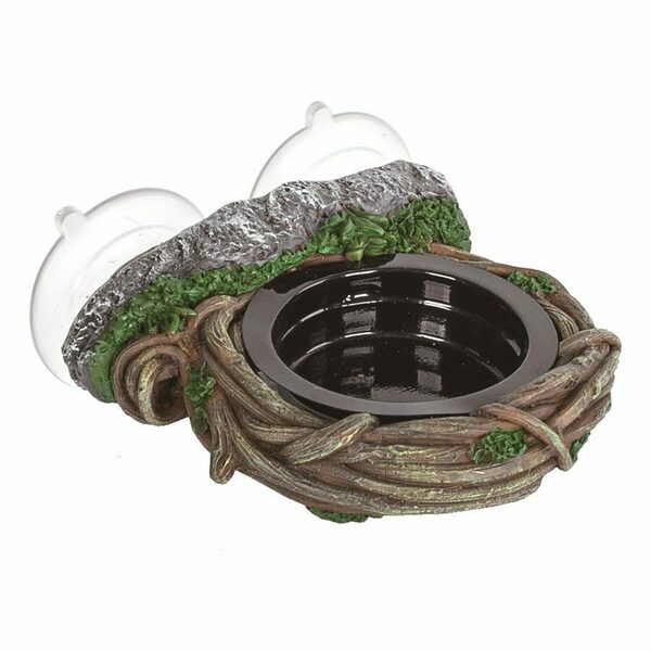 RZ Arboreal Feeder Vine