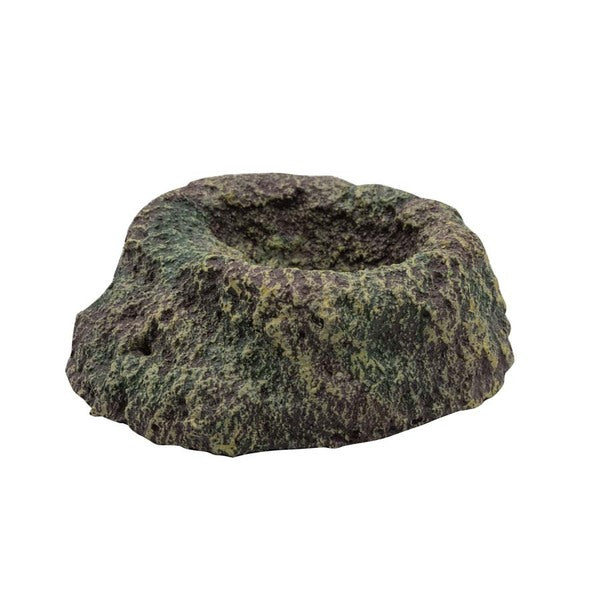 RS Rainforest Bowl