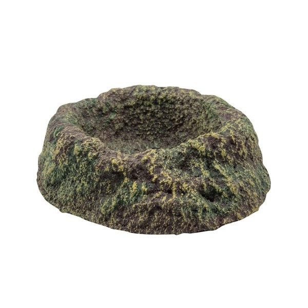 RS Rainforest Bowl