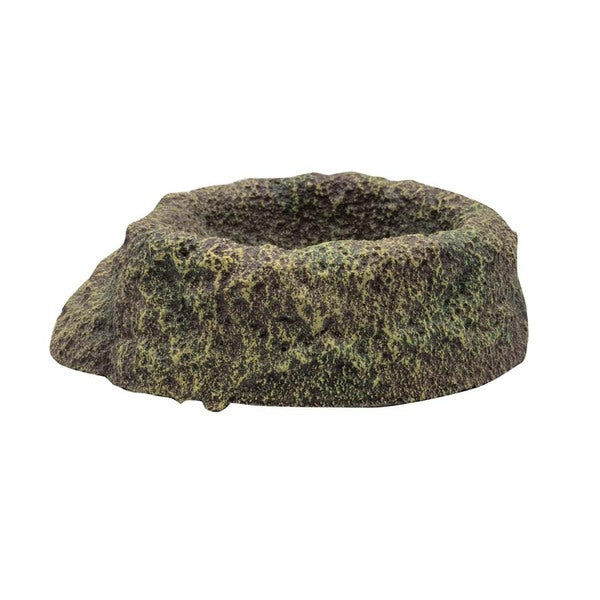 RS Rainforest Bowl