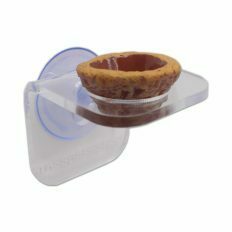Arboreal Bowl