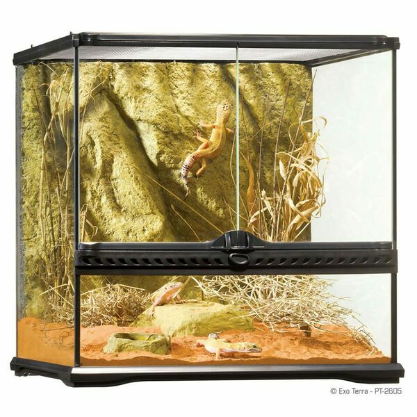 ET Terrarium