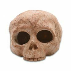 Human Skull Hide