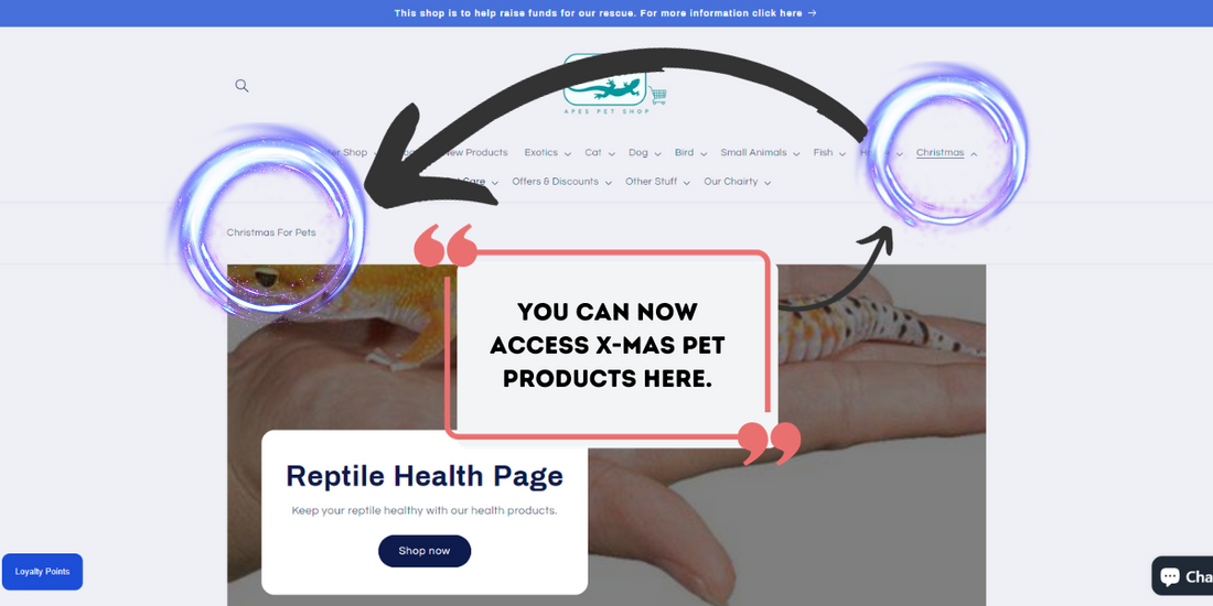 X-Mas Pet Products Ready How To Access Them