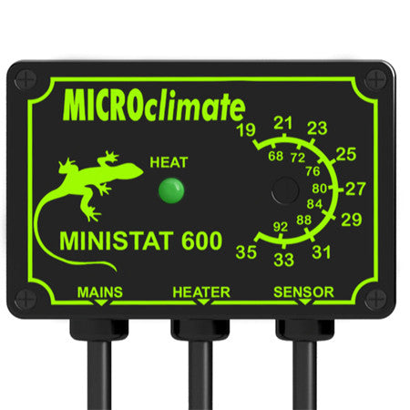 The Microclimate 600: A Thermostat Essential for Your Exotic Pets' Safety and Well-being