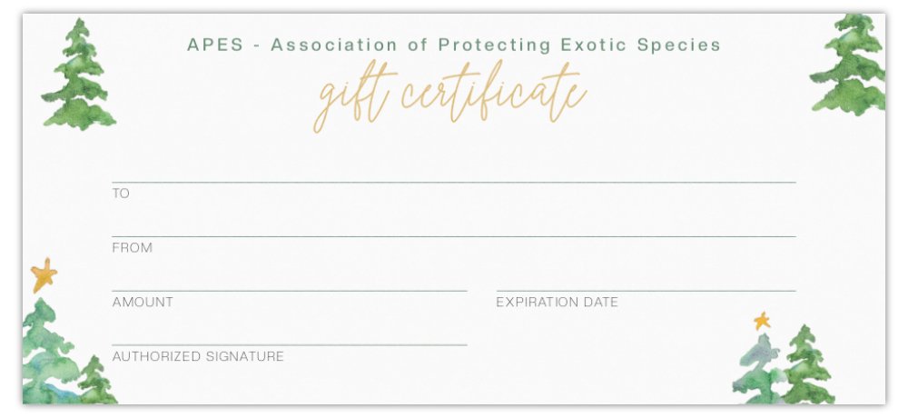 Vouchers & Gift Cards