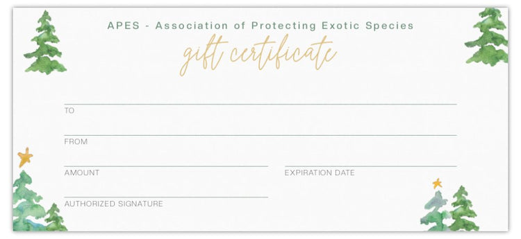 Vouchers & Gift Cards
