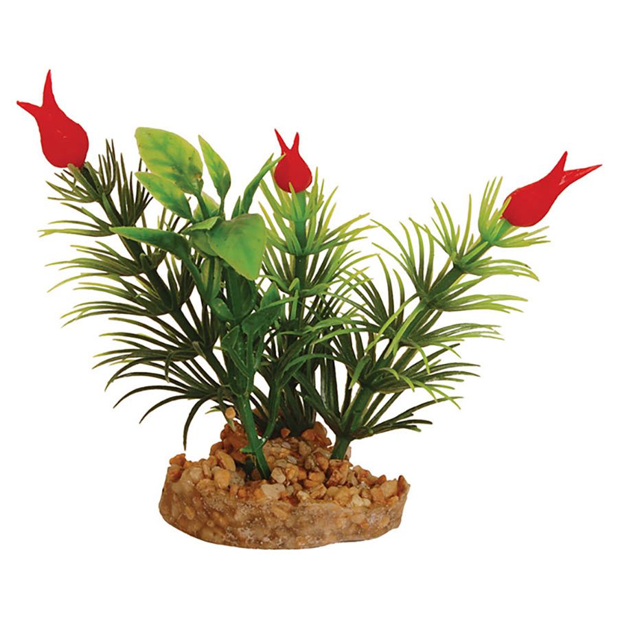 AQ Plant with Sandstone 4.5cm(base)x9.5cm