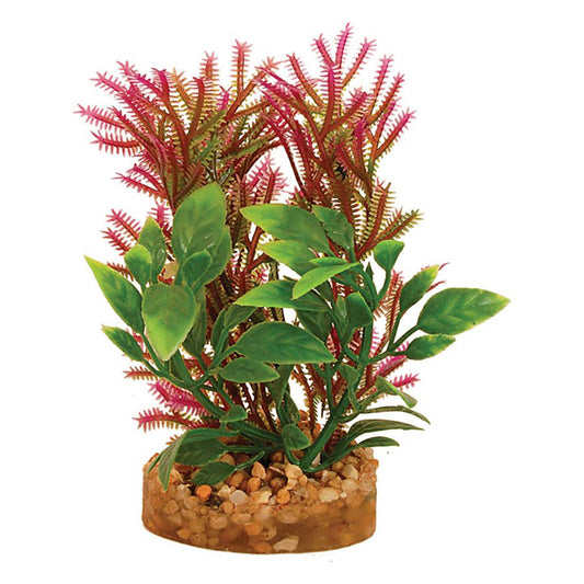 AQ Plant with Sandstone 4.5cm(base)x9.5cm