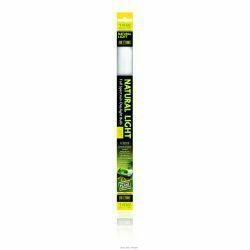 Exo Terra Fluorescent Bulb Natural Light 14w, 15"