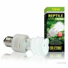 Exo Terra Reptile Glo 5.0 Compact Fluorescent Bulb, 13w