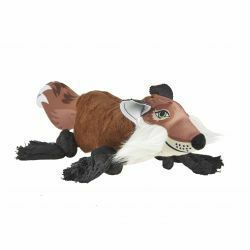 Ropey Legs Fox, sgl