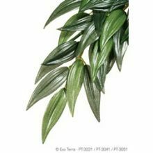Exo Terra Silk Ruscus Plant, sml