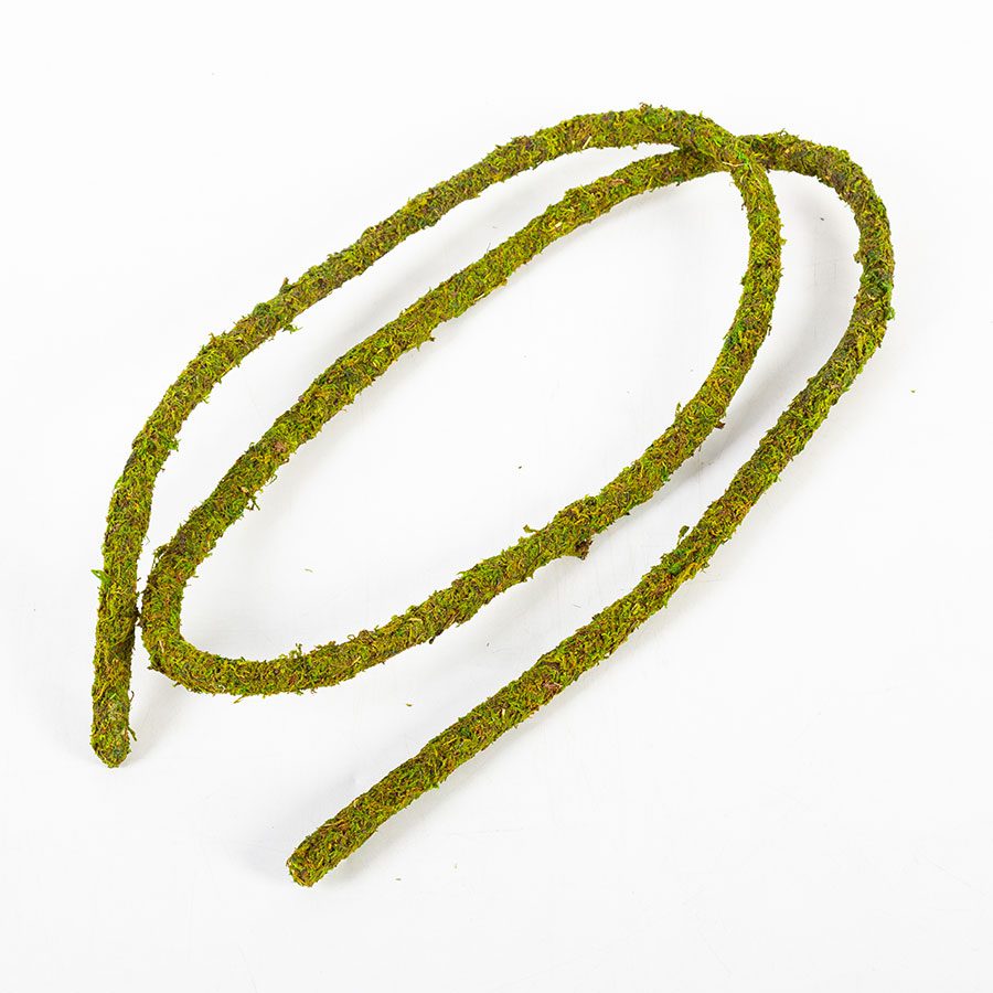 RZ Natural Moss Vine