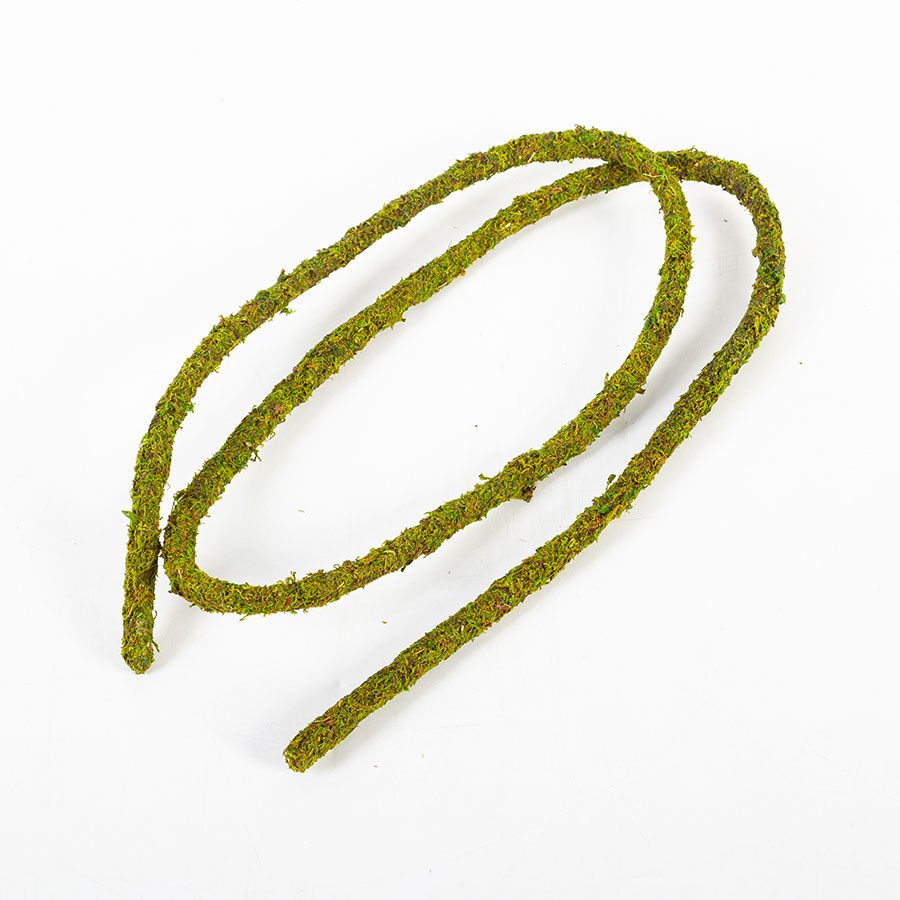 RZ Natural Moss Vine