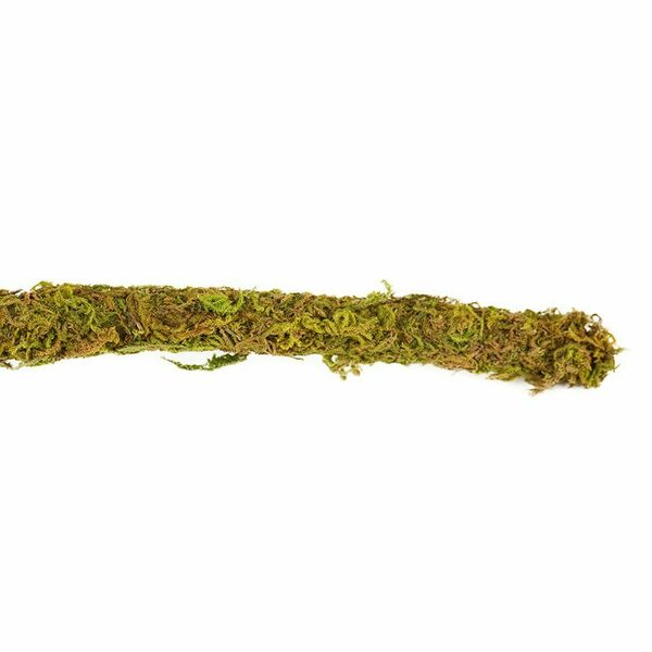 RZ Natural Moss Vine