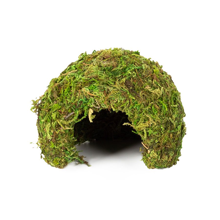 RZ Natural Moss Dome