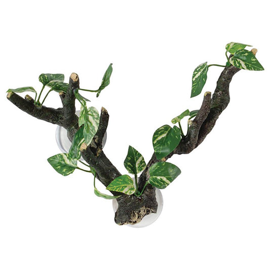 RS Branch with Flora Sucker Mount