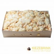 KB Day old chicks