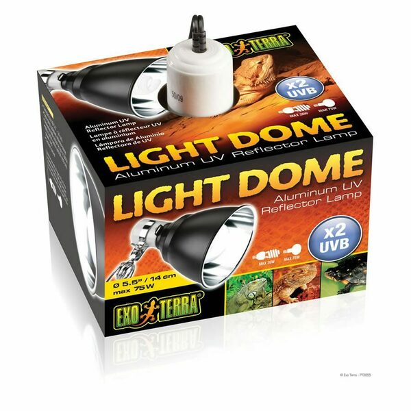 ET Light Dome Fixture