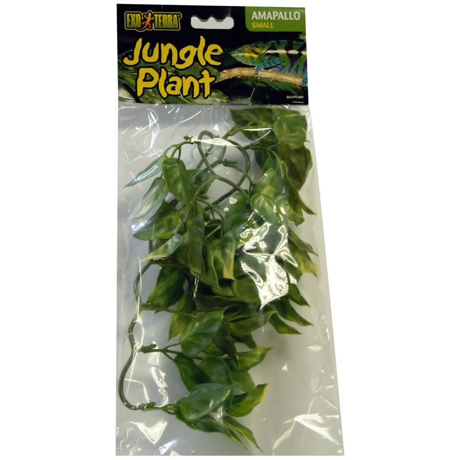 ET Plastic Plant Amapallo Small