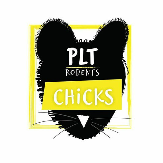 PLT Chicks