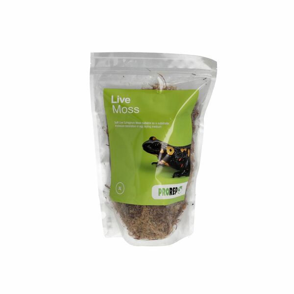 PR Live Moss