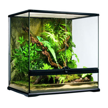 Exotic Habitat Full Setup For Crested Gecko
