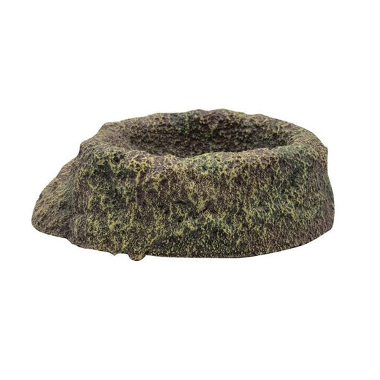 RS Rainforest Bowl