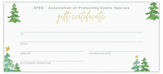 X-Mas Voucher 2023