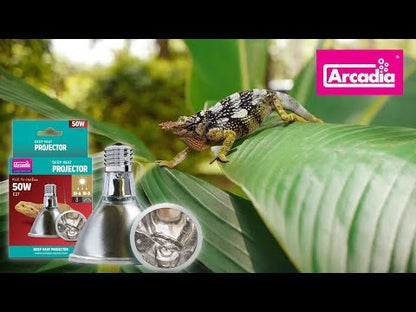 Arcadia Deep Heat Projector