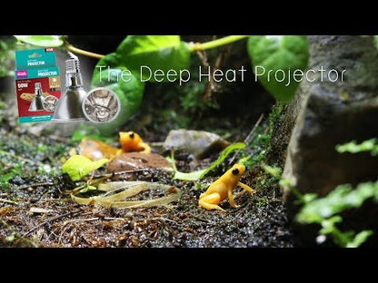 Arcadia Deep Heat Projector