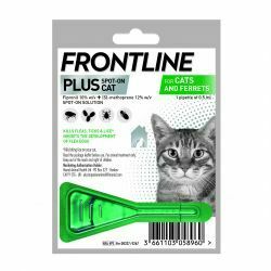 Frontline Plus Cat
