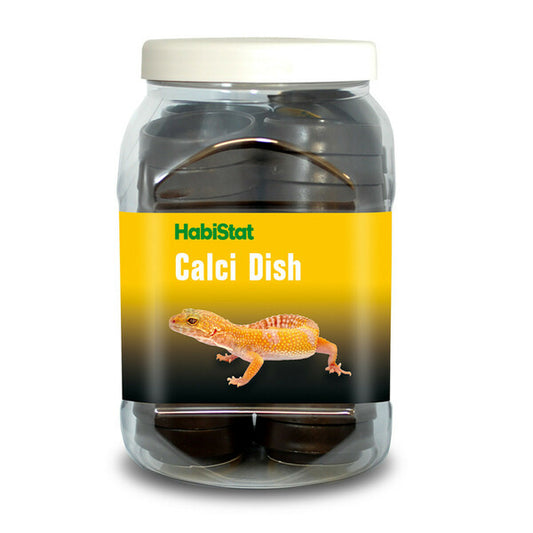 CALCI DISH (Single)