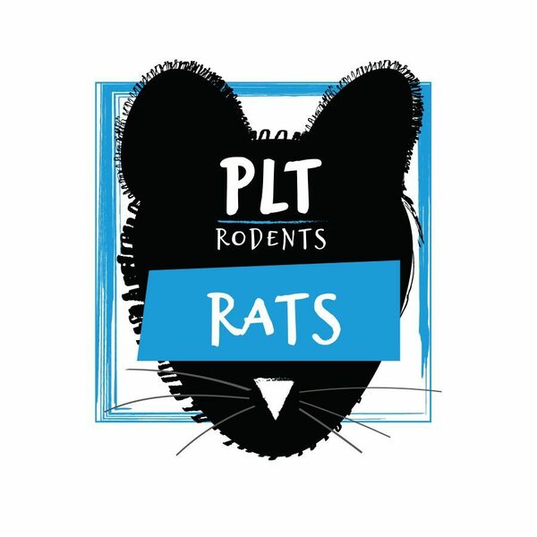 PLT Single Frozen Rats
