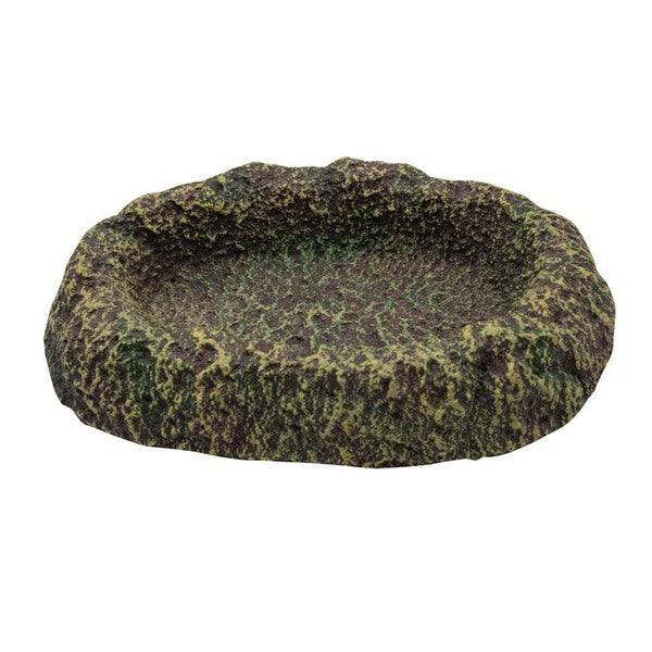 RS Rainforest Dish