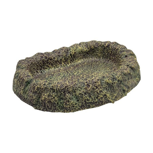 RS Rainforest Dish