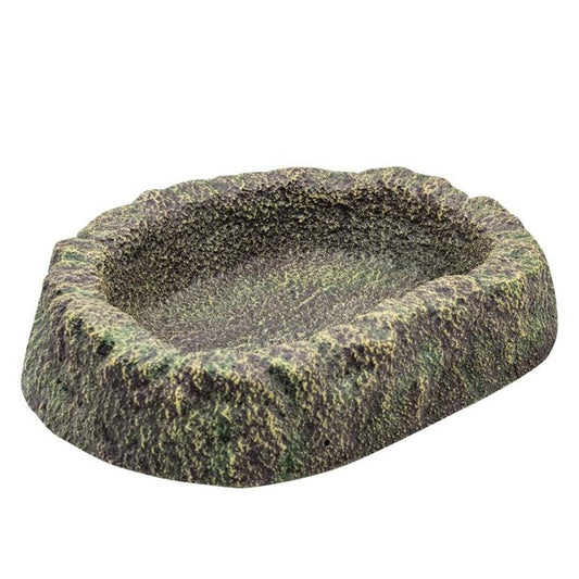 RS Rainforest Dish