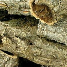 Cork Bark Tubes